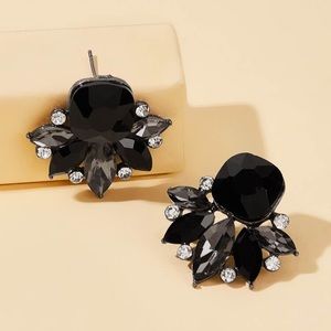 Rhinestone Fashion Earrings